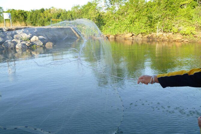 Cairns Estuary Fishing - The Sum Up: Who Should Consider This Experience?