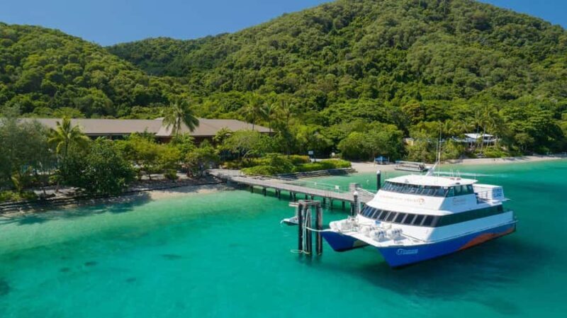 Cairns: Fitzroy Island Ferry with Optional Lunch & Activity - Key Points