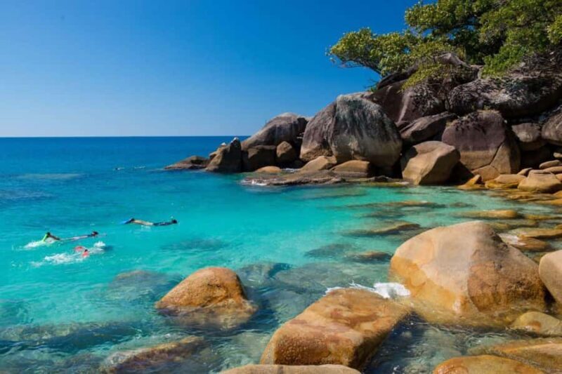 Cairns: Fitzroy Island Ferry with Optional Lunch & Activity - A Close Look at the Experience