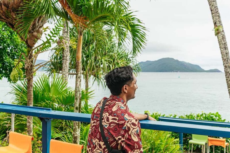 Cairns: Fitzroy Island Half-Day with Optional Extras - Snorkeling and Marine Life: The Underwater Treasure