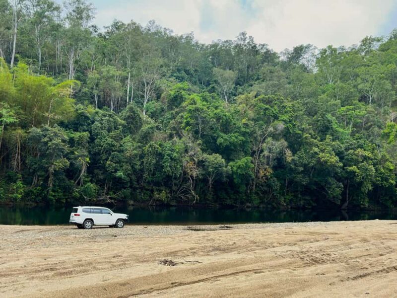 Cairns: Forest and Waterfalls Half-Day 4WD Guided Adventure - Key Points