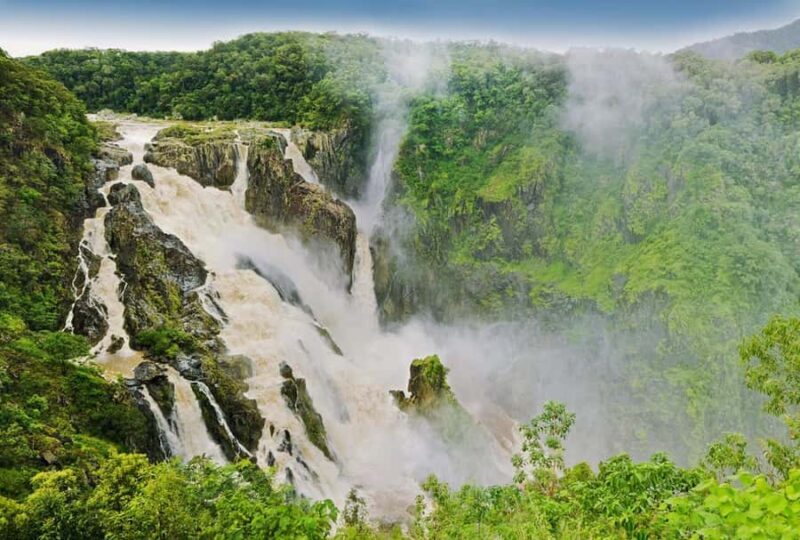 Cairns: Forest and Waterfalls Half-Day 4WD Guided Adventure - Authentic Encounters and Traveler Insights