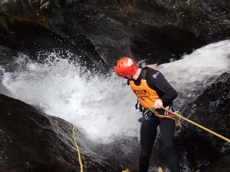 Cairns Full-Day Canyoning Adventure tour - Key Points