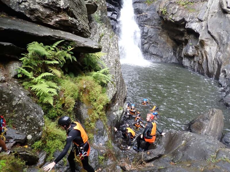 Cairns Full-Day Canyoning Adventure tour - The Sum Up: Why Choose This Tour?
