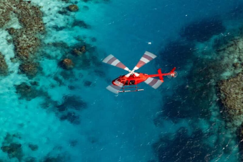 Cairns: Great Barrier Reef 30-Minute Helicopter Flight - Key Points