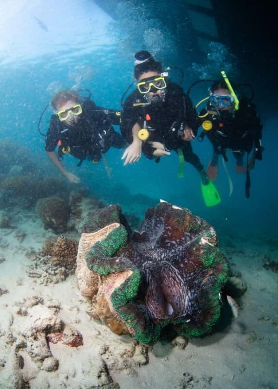 Cairns: Great Barrier Reef Cruise & 10 Minute Helicopter - Who Should Consider This Tour?