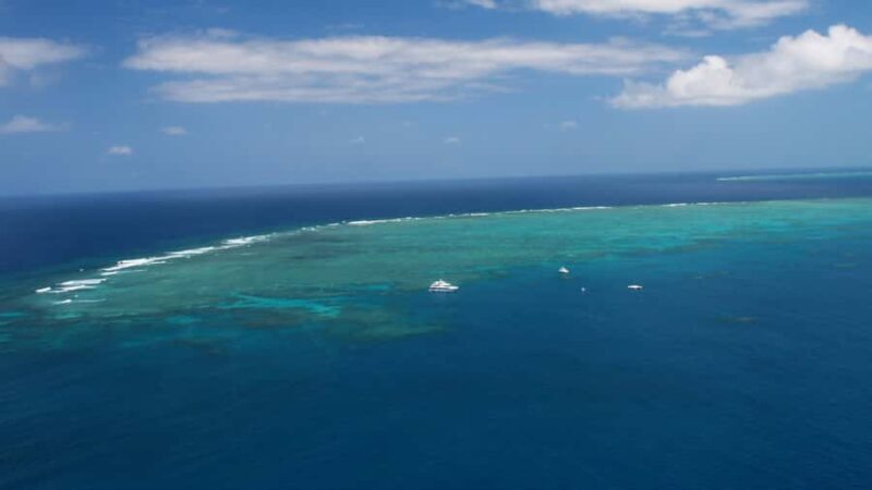 Cairns: Great Barrier Reef Cruise & Scenic Helicopter Flight - Authentic Experiences from Travelers