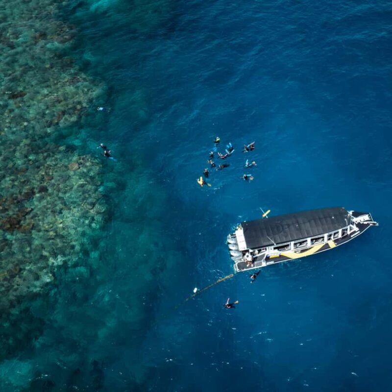 Cairns: Great Barrier Reef Half-Day Snorkelling Tour - What You Can Expect During Your Time on the Reef