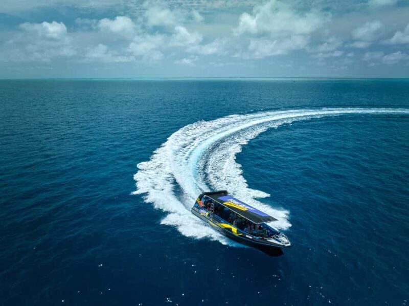 Cairns: Great Barrier Reef Half-Day Snorkelling Tour - The Pros and Cons