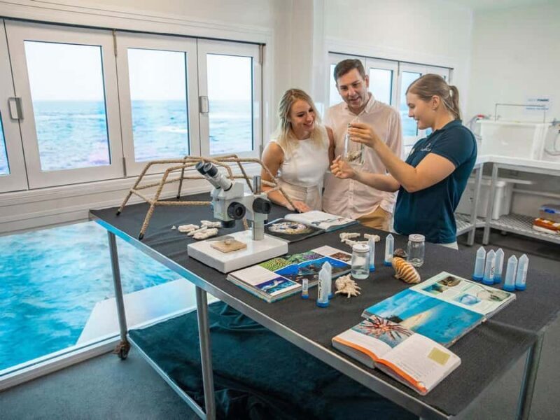 Cairns: Great Barrier Reef Pontoon - Indulgence Package - Final Thoughts