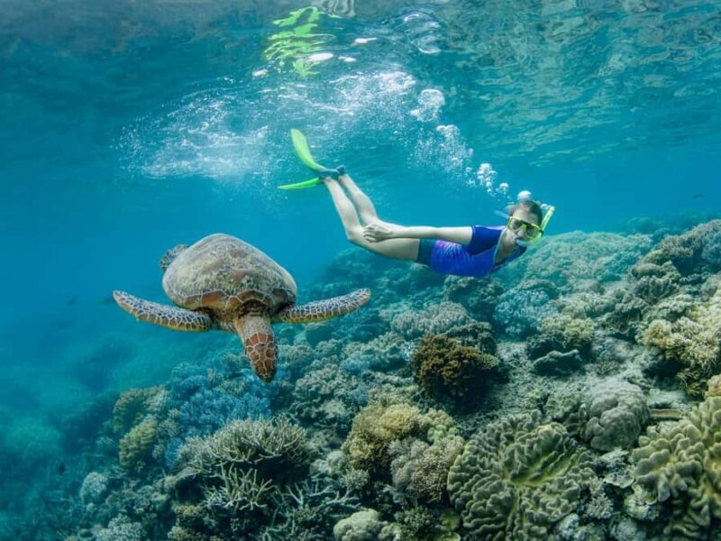 Cairns: Great Barrier Reef Pontoon, Travel by Helicopter - The Water Activities: What Makes It Special