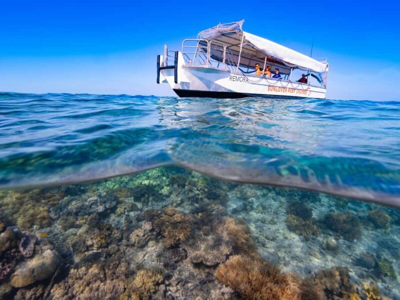 Cairns: Great Barrier Reef Pontoon, Travel by Helicopter - The Helicopter Experience: A Highlight