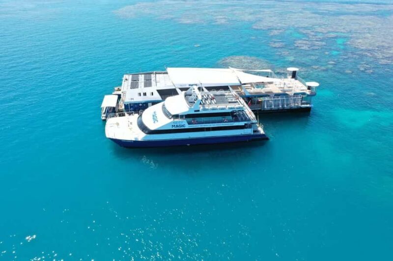 Cairns: Great Barrier Reef Pontoon with Water Activities - Setting Out to the Reef: What to Expect