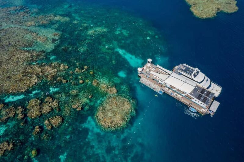 Cairns: Great Barrier Reef Pontoon with Water Activities - Practical Details: Transportation, Timing, and Group Size