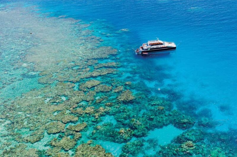 Cairns: Great Barrier Reef Premium Diving Full Day Tour - Key Points