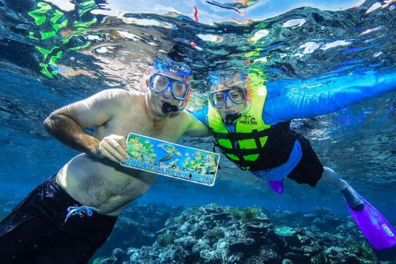 Cairns: Great Barrier Reef Premium Diving Full Day Tour - Final Thoughts