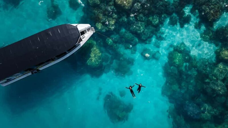 Cairns: Great Barrier Reef Small Group Snorkelling Tour - Why this Tour Stands Out