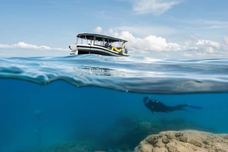 Cairns: Great Barrier Reef Small Group Snorkelling Tour - The Benefits of a Small Group Tour
