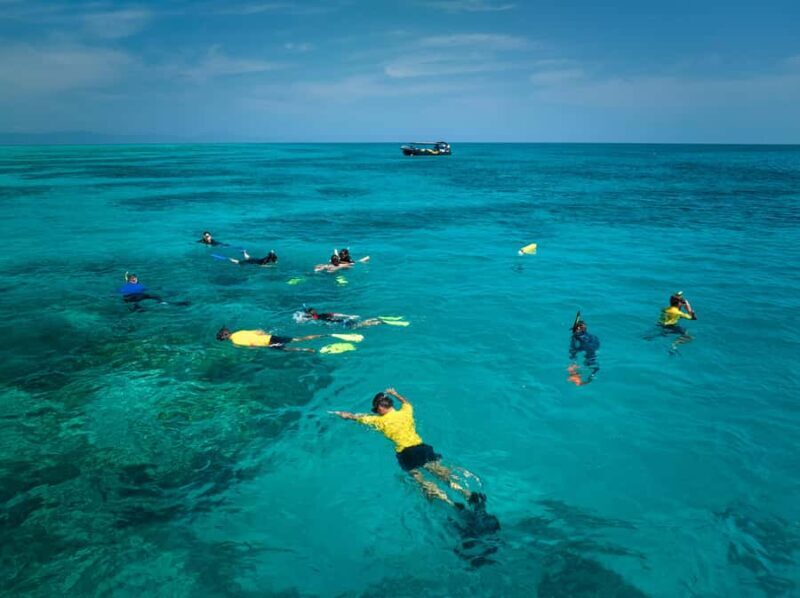 Cairns: Great Barrier Reef Small Group Snorkelling Tour - The Value You Get