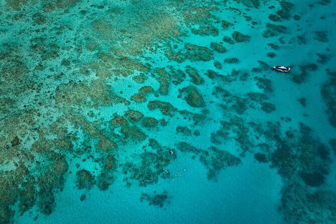 Cairns Great Barrier Reef Snorkel and Flight Adventure - Key Points
