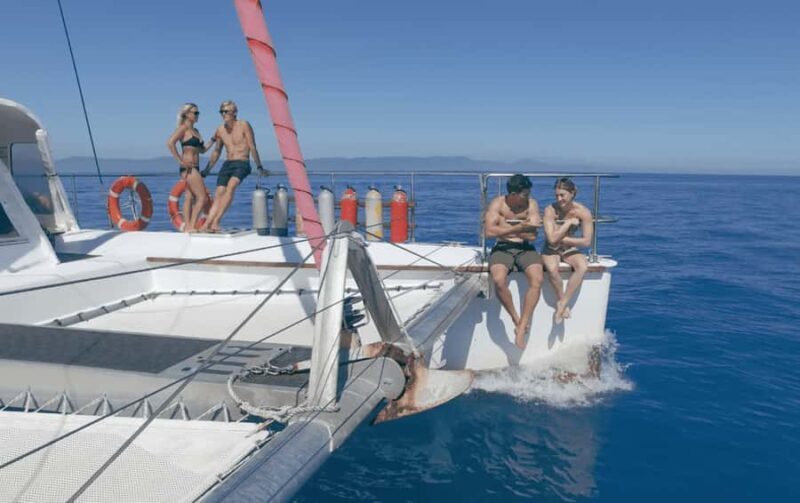 Cairns: Great Barrier Reef Snorkeling Tour with Lunch - Key Points