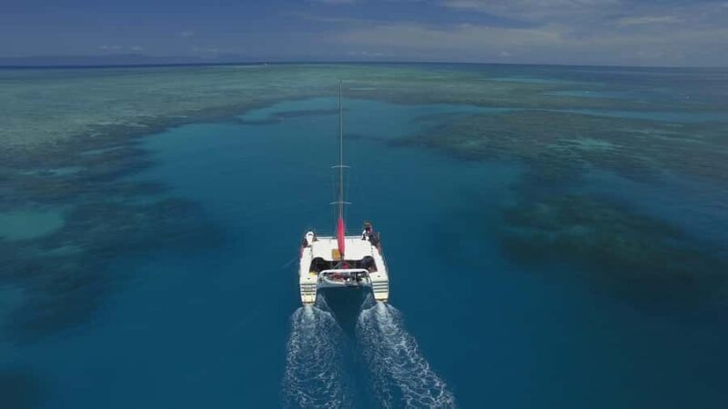 Cairns: Great Barrier Reef Snorkeling Tour with Lunch - An In-Depth Look at the Great Barrier Reef Snorkeling Tour
