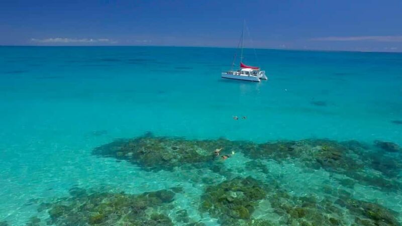 Cairns: Great Barrier Reef Snorkeling Tour with Lunch - FAQ