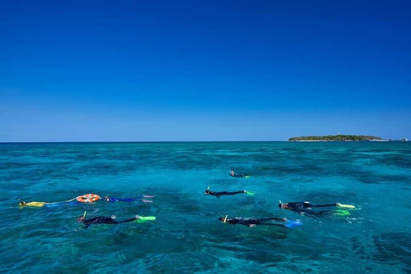 Cairns: Green Island Full-Day Tour with Diving - Key Points