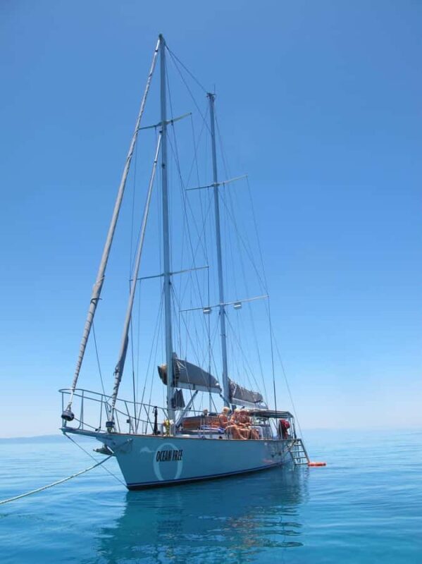 Cairns: Green Island & Great Barrier Reef Sailing Tour - Who Should Consider This Tour?