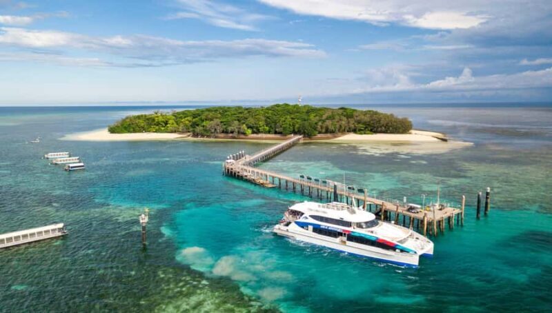 Cairns: Green Island + Moore Reef Activity Platform Combo - The Itinerary Breakdown: What Does Your Day Look Like?