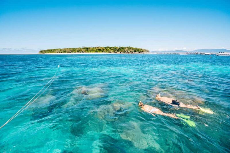 Cairns: Green Island, Snorkelling and Glass-Bottom Boat - Key Points