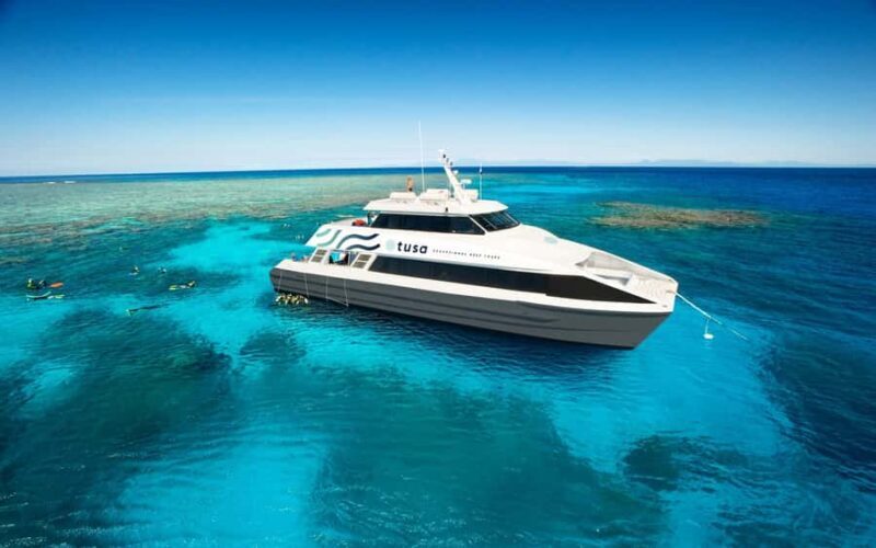 Cairns: Half-Day Outer Reef Snorkel Tour - The Value Perspective