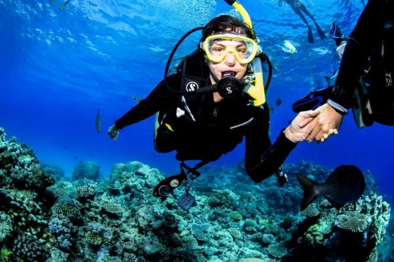 Cairns: Half-Day Outer Reef Snorkel Tour - Final Thoughts