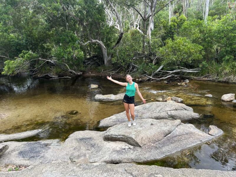Cairns: Half-Day Premium 4WD Rainforest & Waterfall Tour - An In-Depth Look at the Tour Experience