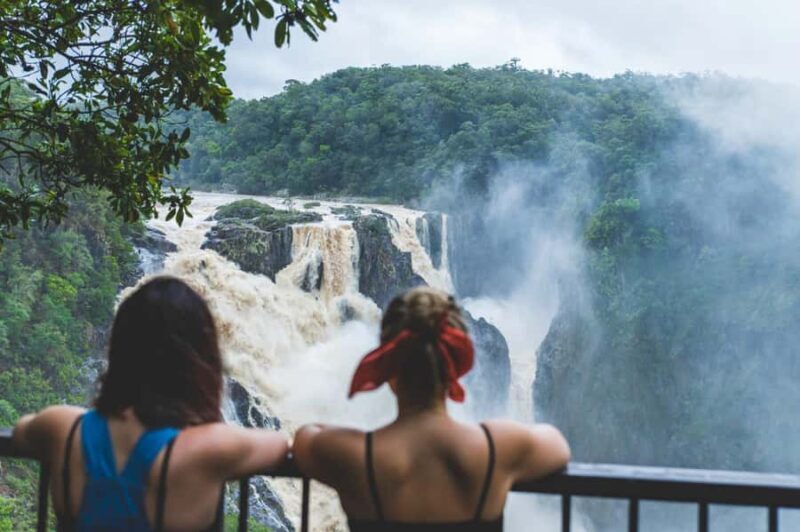 Cairns: Half-Day Premium 4WD Rainforest & Waterfall Tour - What Past Travelers Say