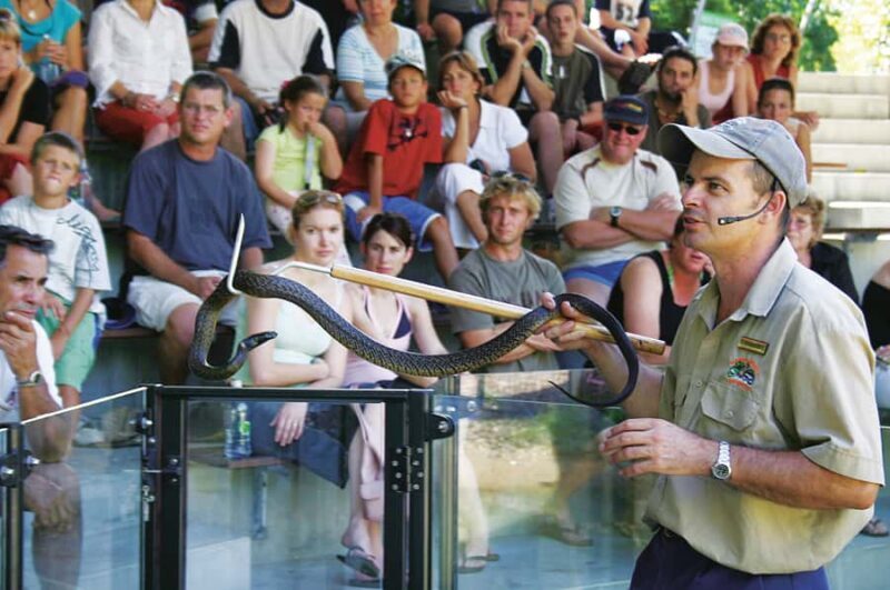 Cairns: Hartley's Crocodile Adventures Visit with Transfer - Key Points