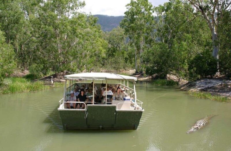 Cairns: Hartley's Crocodile Adventures Visit with Transfer - An Honest Look at the Itinerary and Experience