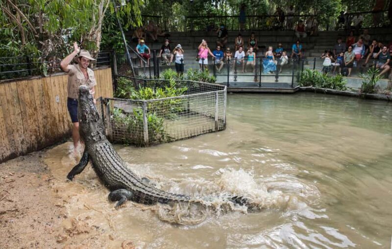 Cairns: Hartley's Crocodile Adventures Visit with Transfer - Practical Tips for Your Visit