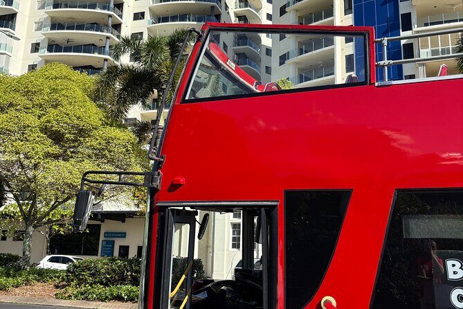 Cairns Hop on Hop Off - What to Expect from the Experience
