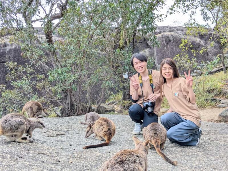 Cairns: Mareeba Wildlife and Coffee Tour - Key Points