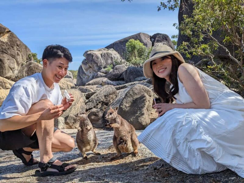 Cairns: Mareeba Wildlife and Coffee Tour - A Closer Look at the Tour Experience