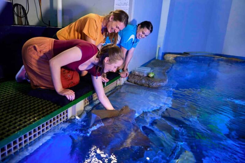 Cairns: Marine Life Encounter - Key Points