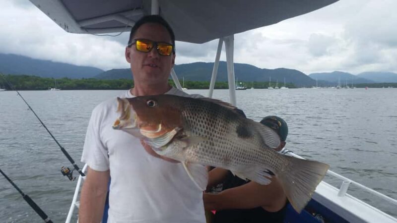 Cairns: Morning Estuary Fishing Charter - An Overview of the Cairns Estuary System