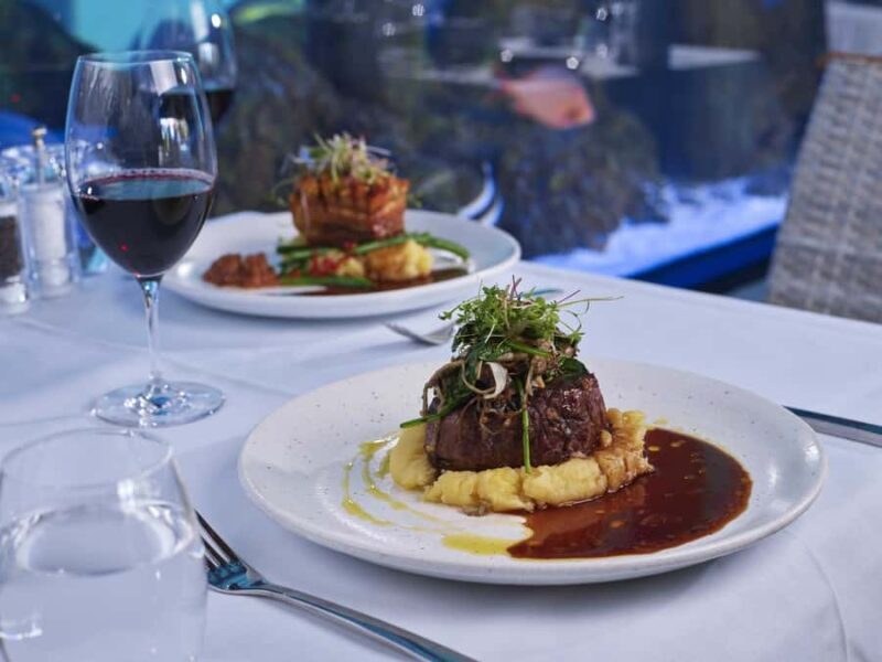 Cairns: Night at the Aquarium Guided Tour & 2 Course Dinner - Key Points
