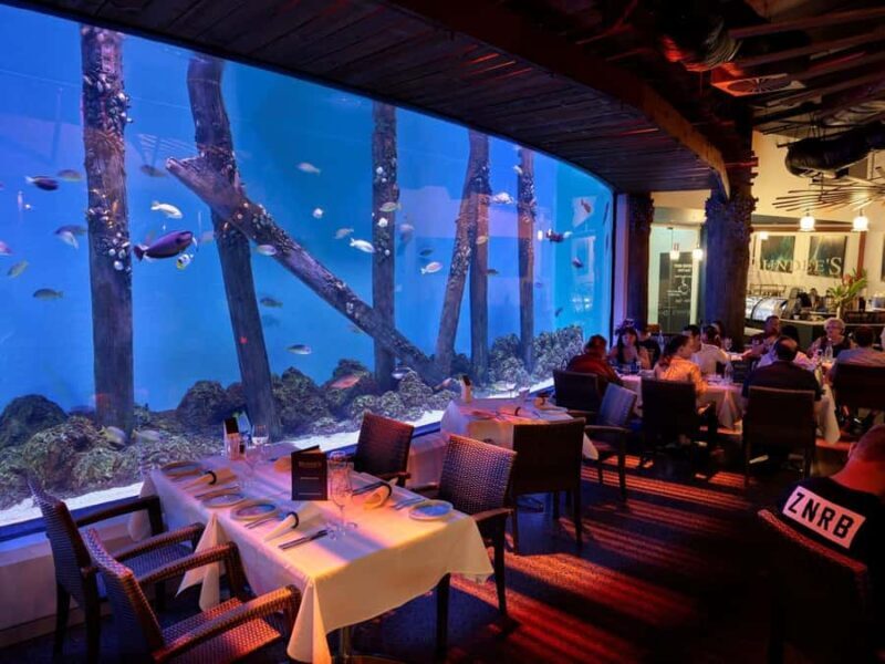 Cairns: Night at the Aquarium Guided Tour & 2 Course Dinner - An Introduction to the Night at the Aquarium Experience