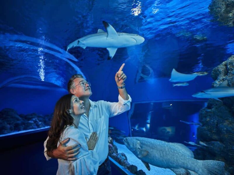 Cairns: Night at the Aquarium Guided Tour - What to Expect During Your Night at the Aquarium
