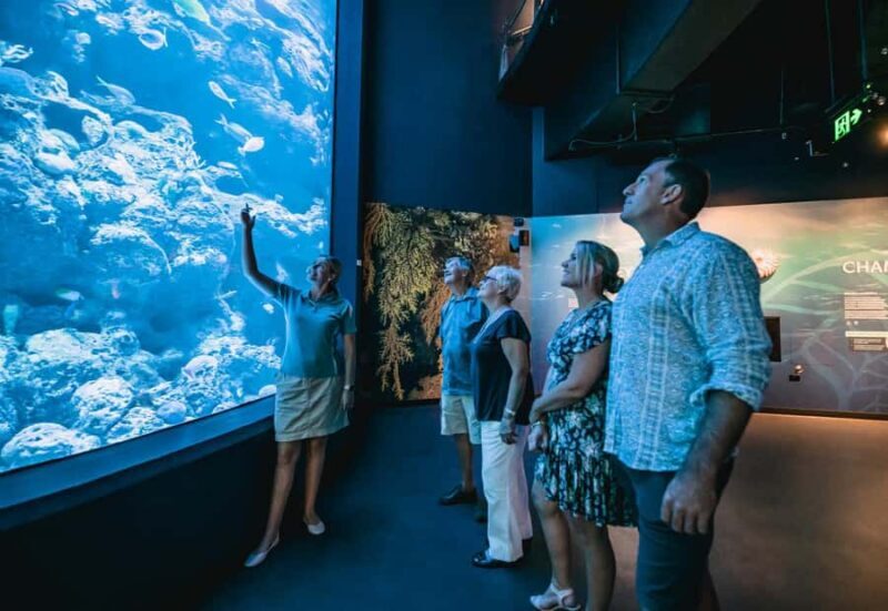 Cairns: Night at the Aquarium Guided Tour - Final Thoughts: The Value of Cairns’ Night at the Aquarium