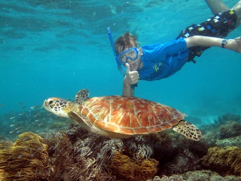 Cairns: Ocean Spirit Great Barrier Reef Full Day Tour - What to Expect at Michaelmas Cay