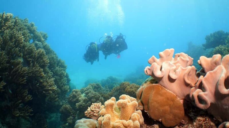Cairns: Ocean Spirit Great Barrier Reef Full Day Tour - Frequently Asked Questions