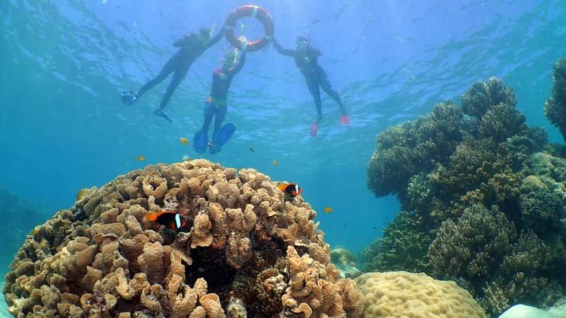 Cairns: Ocean Spirit Great Barrier Reef Full Day Tour - Wrapping It Up